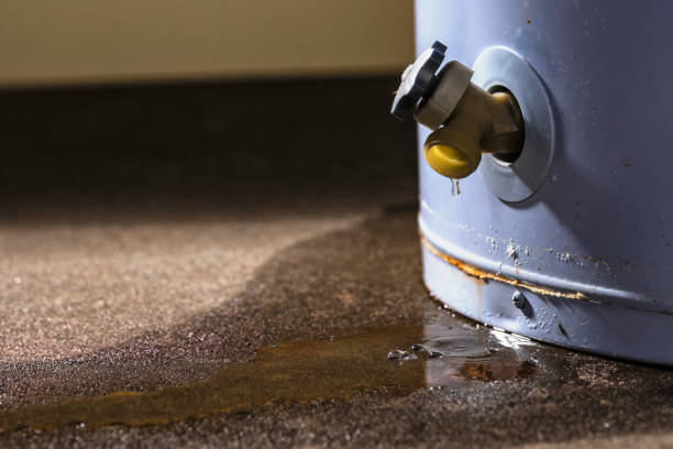 Best Mold removal after water damage  in Lake Junaluska, NC