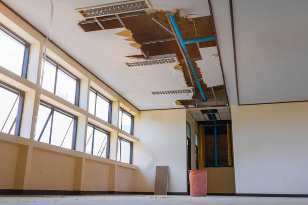 Best Local water damage restoration  in Lake Junaluska, NC