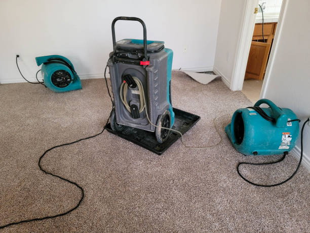Best Water damage cleanup near me  in Lake Junaluska, NC