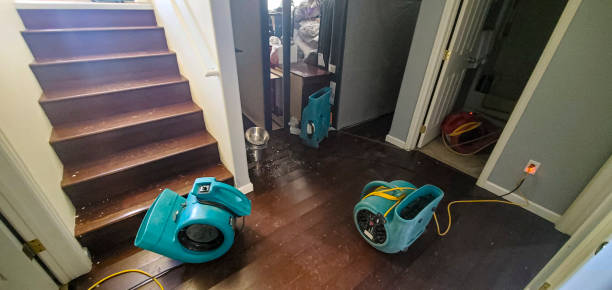 Best Ceiling water damage repair  in Lake Junaluska, NC