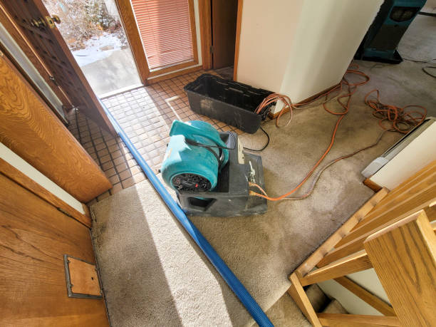 Best Carpet water damage restoration  in Lake Junaluska, NC