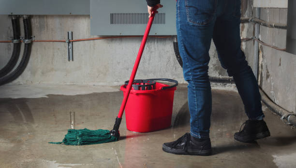 Best Professional water damage repair  in Lake Junaluska, NC