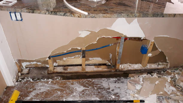 Best Flood damage cleanup  in Lake Junaluska, NC