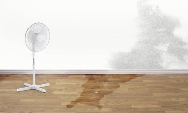 Best Water damage restoration cost  in Lake Junaluska, NC