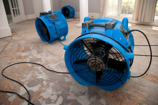 Best Sewage cleanup and water damage restoration  in Lake Junaluska, NC