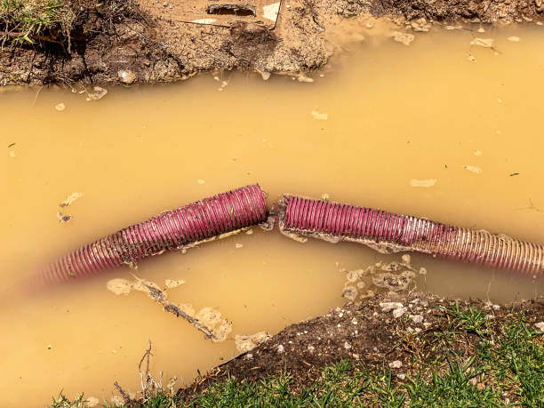 Best Water damage restoration near me  in Lake Junaluska, NC