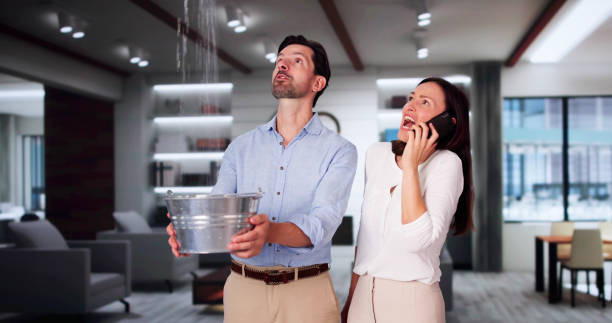 Best 24/7 water damage repair  in Lake Junaluska, NC