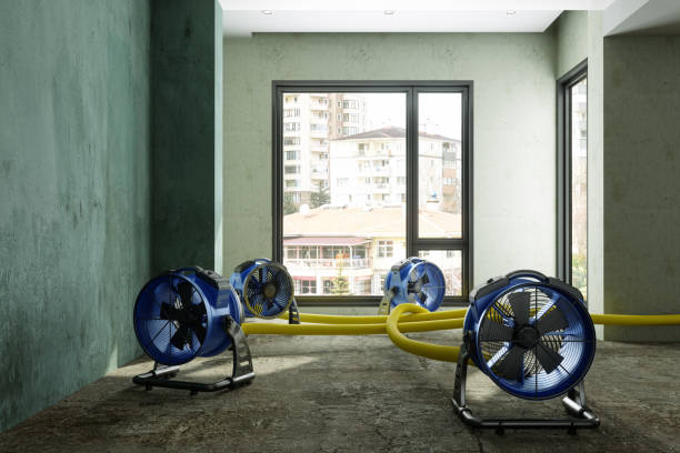 Best Water damage restoration near me  in Lake Junaluska, NC